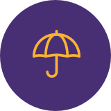 Compliance Icon